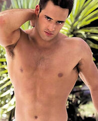 Kurt Stefano