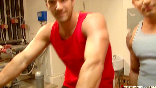 Forbidden Chemistry: Trystan Bull Hunter Vance Go Wild Behind Closed Doors