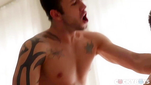 Sonny Stewart Rides Raw Passion in Steamy Gay Encounter – CockyBoys