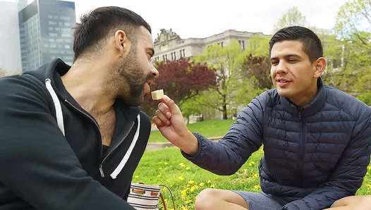 Stepsons Sneaky Picnic Leads to Steamy Forbidden Action with Stepdad – 18+