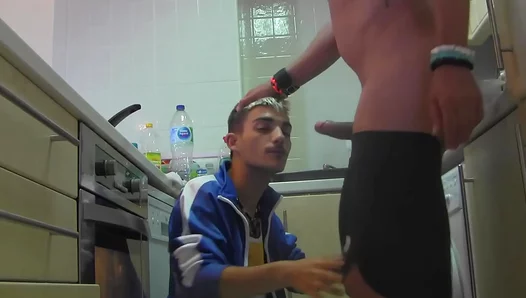 Feeding Frenzy: Hot Amateur Blowjobs Turn Wild Steamy – GayPornX 18+