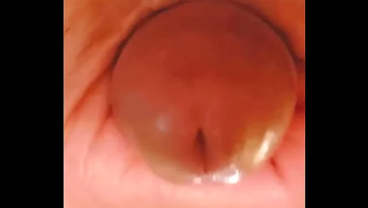 Intense Amateur Blowjob Focus: Sensual Cockhead Worship Solo Scene – 18+