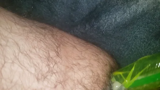 Hairy Amatuer Goes Wild with Huge Dildo in Steamy DIY Ass Play – XXX