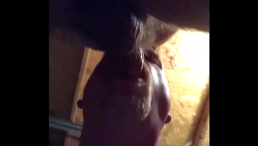 Bareback Passion: Amateur Gay Duo Fucks Hard in Secret Garage Encounter