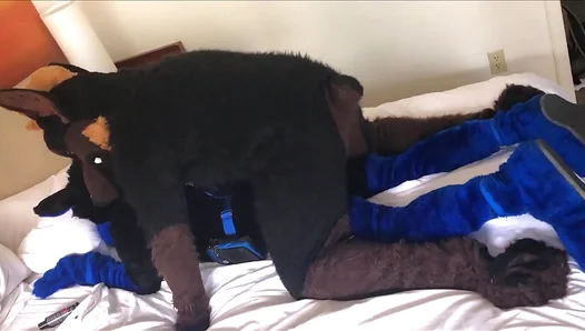 Kairo Murr Suit Takes Hard Fuck in Furry Doggy Style Pleasure – 18+