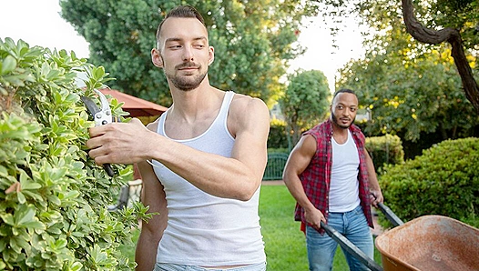 Dillon Diaz Johnny B Collide in Steamy Interracial Lust – IconMale