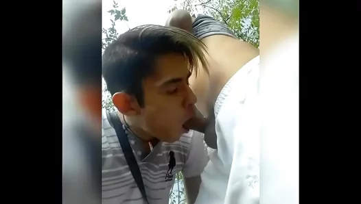 Cruising for Glory: Steamy Outdoor Encounters Caught on Camera – GayVoyeurs 18+