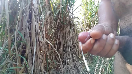 Hand Job in the Heat: Sugarcane Fields Witness a Sticky Finish – GayPornHub 18+