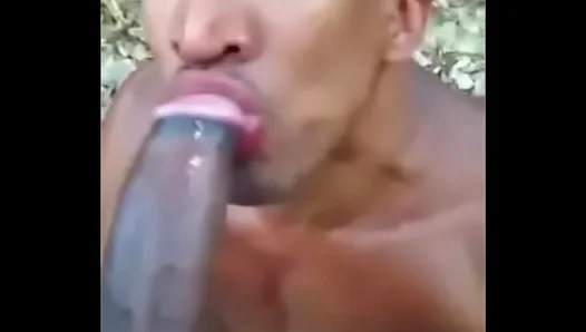 Mature Star Ignites Passion in Steamy Gay Encounter – Hot Shemale XXX