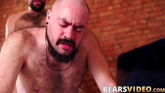 Tony Rivers Bear Silien Dominate in Raw, Intense Gay Sex – Hard Fucking