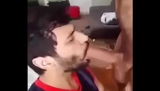 Deep Throat Craving: Hardcock Sucks Massive Load Bareback – 18+ Gay Porn