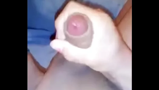 Shelley Takes Control in Steamy Shemale Fuck Fest – Wild Cum Scene