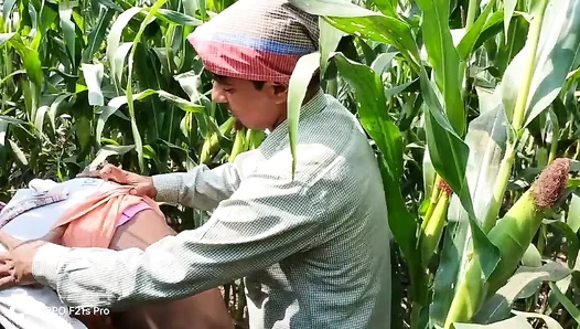 Steamy Indian Tryst: Worker Boss Ignite Passion in a Cornfield – Hindi Spoken
