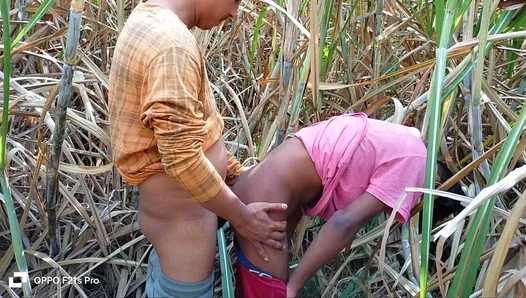 Three Horny Farmboys Fuck One Hot Babe Under Open Sky – NaughtyVillageX 18+
