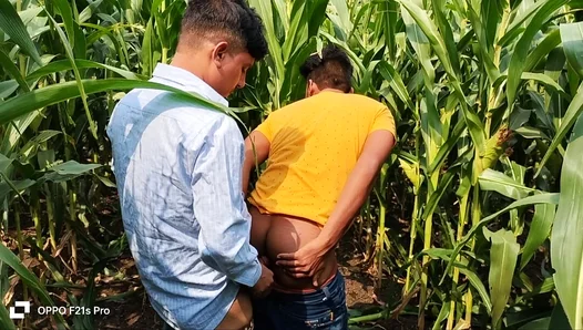 College Crush: Young Stud Seduces Hot Professor in Golden Cornfield – 18+