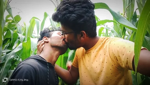 Steamy Cornfield Encounter: Two Guys Explore Lust Laughter in Loves Heat – GayPornX 18+