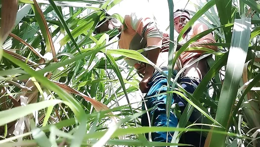 Secret Tryst in the Fields: Hot Desi Passion Unfolds – Gay Hindi Heat 18+