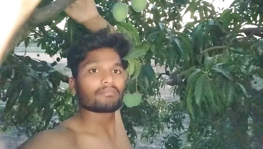 Juicy Mango Pleasure: Hot Guy Sensually Sucks Sweet Fruit in Sunlit Shade – 18+
