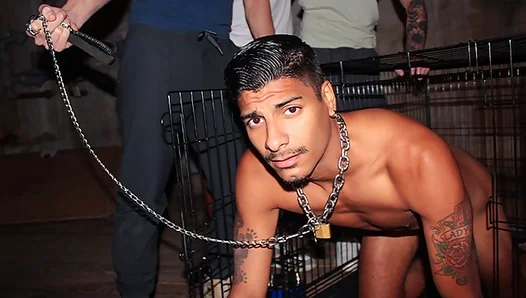 Apollos Steamy Hazing Ritual: First Time Anal for the Hot – 18+