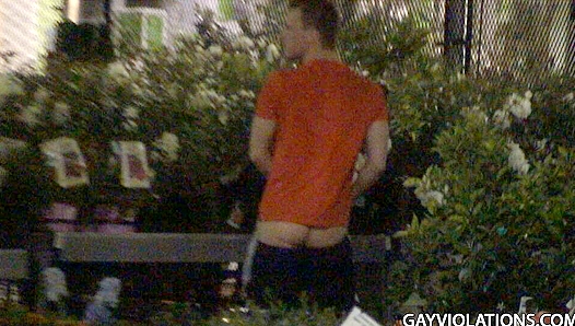 Hot Summer Encounter — Steamy Passion Between Twinks in the Garden – GayRoom