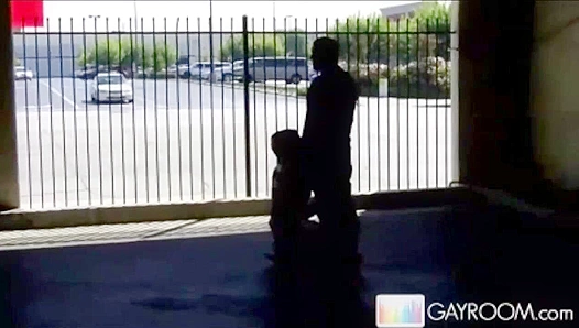 Hidden Desires: Steamy Parkade Blowjob Duo Action – Gay XXX