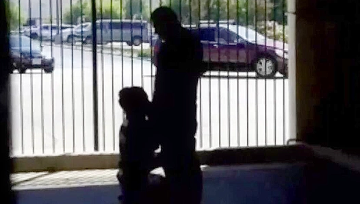 Hidden Desires: Steamy Parkade Blowjob Duo Action – Gay XXX