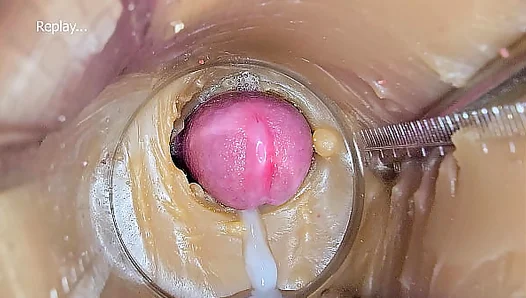 Squirt Sensation: Deep Inside View of Cum Filling a Pussy Toy – 4K HD