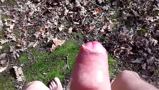 Exposed Jerking Off: Hot Public Blowjob Ends in Explosive Cum Shot – PublicGay Action