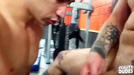 Dane Zanders Hot Gym Session Turns into Steaming Bareback Ride – Reality Dudes