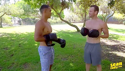 Sean Murrays Steamy Ass Fight in the Boxing Ring – Sean Cody
